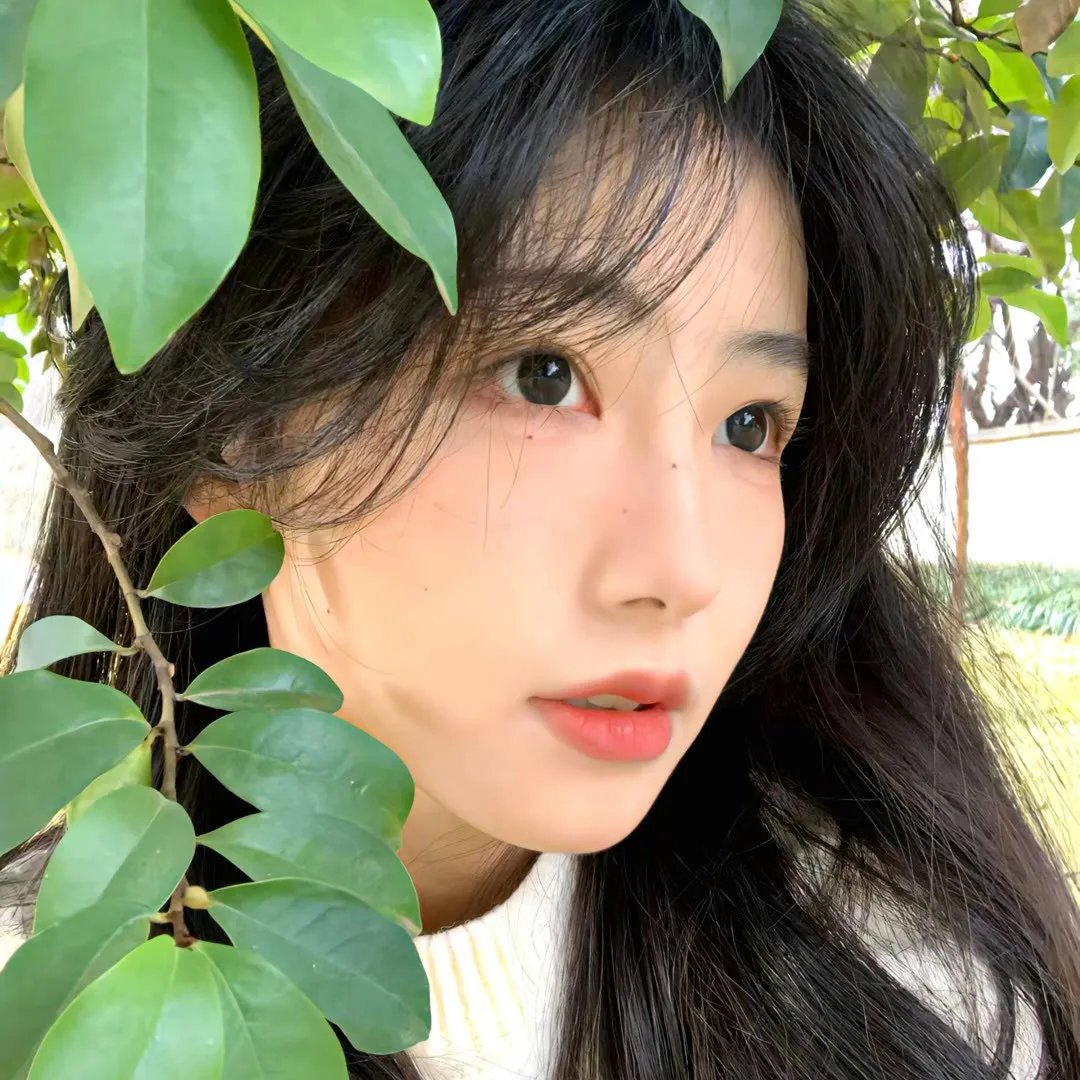 好野计划第一季